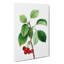 Ripe Cherries by Pierre-Joseph Redoute - Wrapped Canvas Painting-55323790