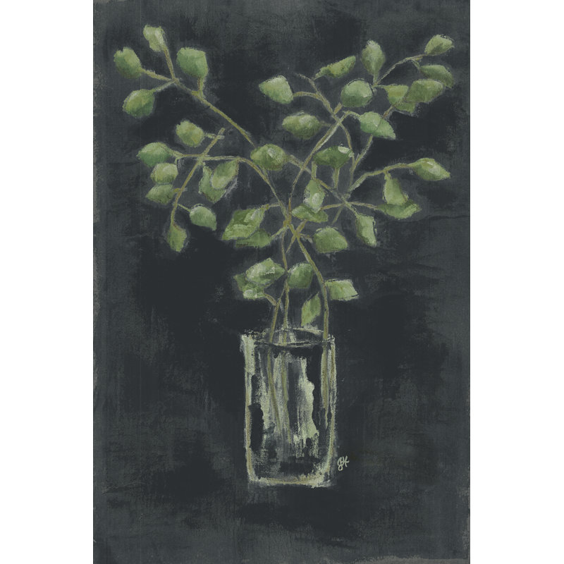 Eucalyptus, H 48 po x l 32 po