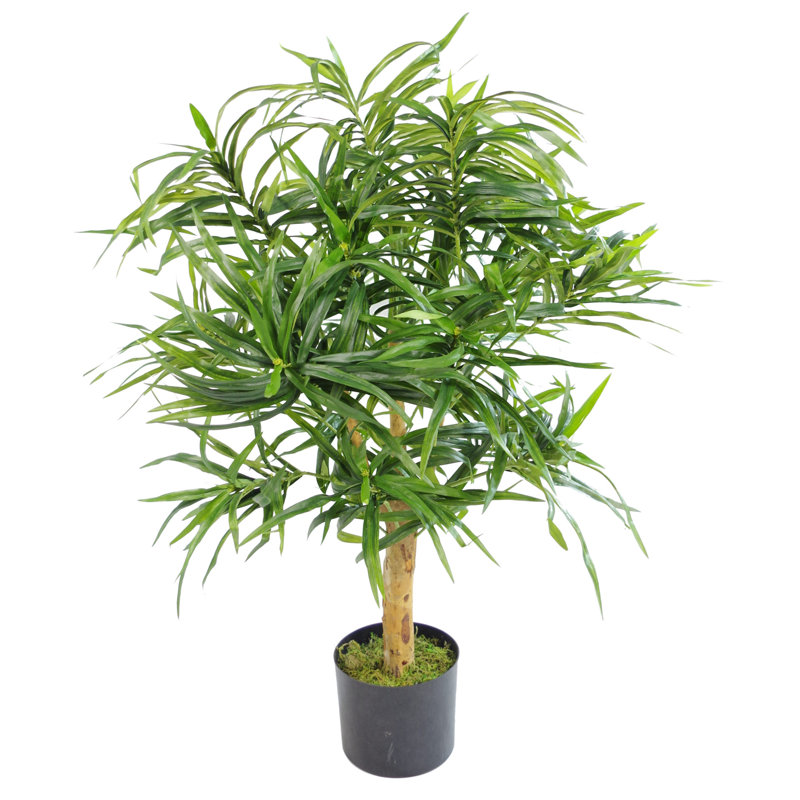 Anivea 100cm Faux Dracaena Tree in Pot