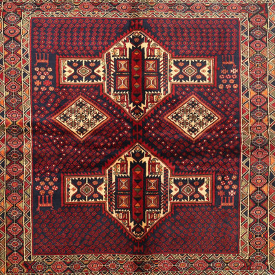 Southwestern Indoor Rug