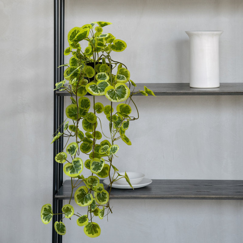 Faux lierre en pot