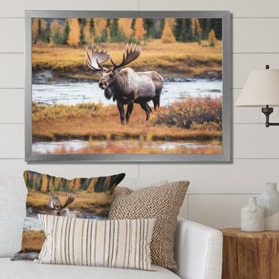 Orignal en Alaska, paysage I - animaux, impressions sur toile