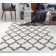 Delaili Moroccan Indoor Rug