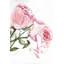 Watercolor Pink Roses - Toile encadrée pour la décoration intérieure