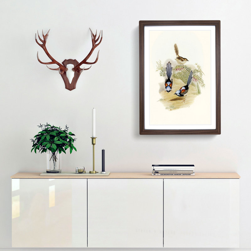 Lovely Wrens by Elizabeth Gould - Framed Print, 65cm H x 48cm W x 2cm D, Walnut Framed