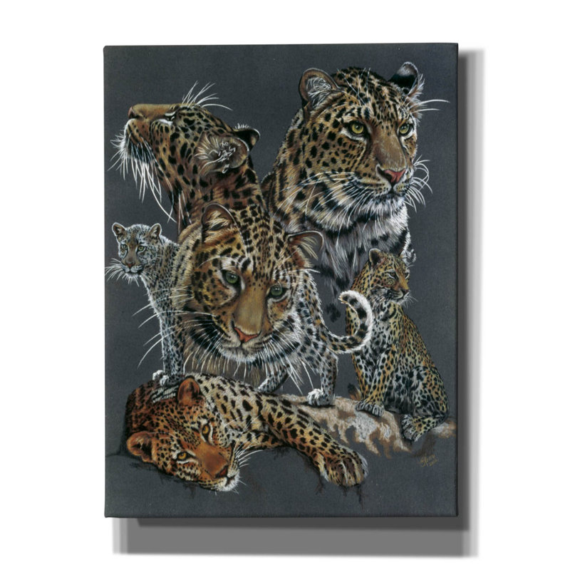 'Shameless' by Barbara Keith, Canvas Wall Art, 16" H x 12" W x 0.75" D