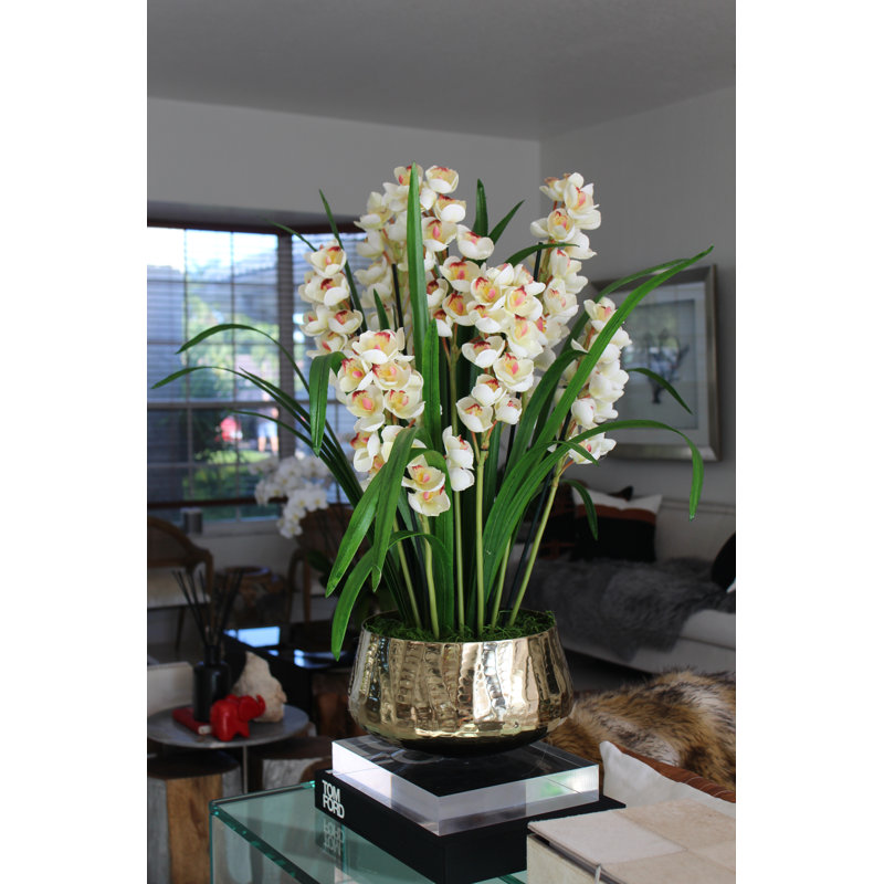 Orchids Floral Arrangement And Centerpiece In Planter, White
