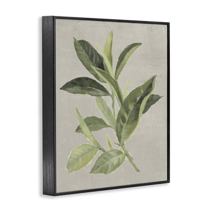 Giclée de feuilles de thé vert, conception de Lanie Loreth, H 14 po x l 11 po, Giclée encadrée noir minuit