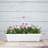 Plastic Planter Box-494974161-494974162