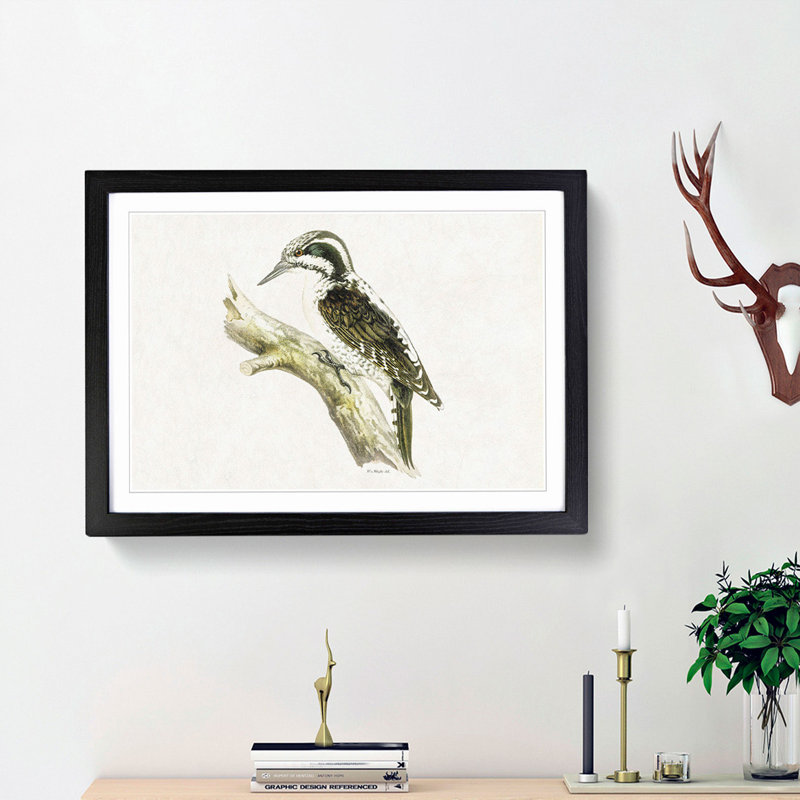 Three-Toed Woodpecker by Von Wright - Picture Frame Painting Print, 27cm H x 36cm W x 2cm D, Black Framed