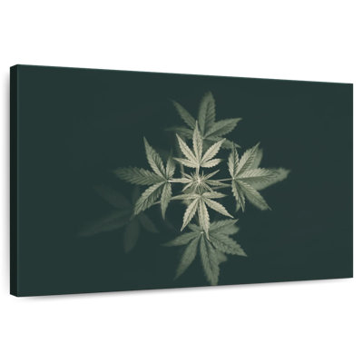 Marijuana en noir