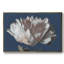 Pivoine blanc-93400180-93400182