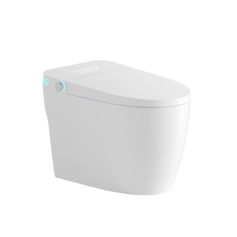 Tankless Smart Toilet With Bidet Built In, One-Piece Bidet Toilet Seat, Auto Flush, Auto Open/Close,Heated Seat, Warm Water And Dry, Adjustable Temp,Remote Control Side Know