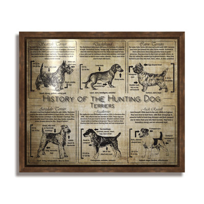 Histoire du terrier - collage de race