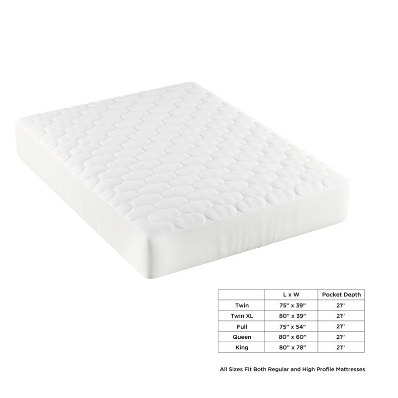 Mattress Protector Case Pack, Twin
