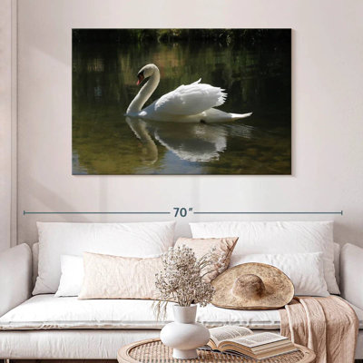 Swan Lake Reflection