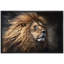 Animaux, lion, crinière de lion, jungle sur toile-93629165-93629162
