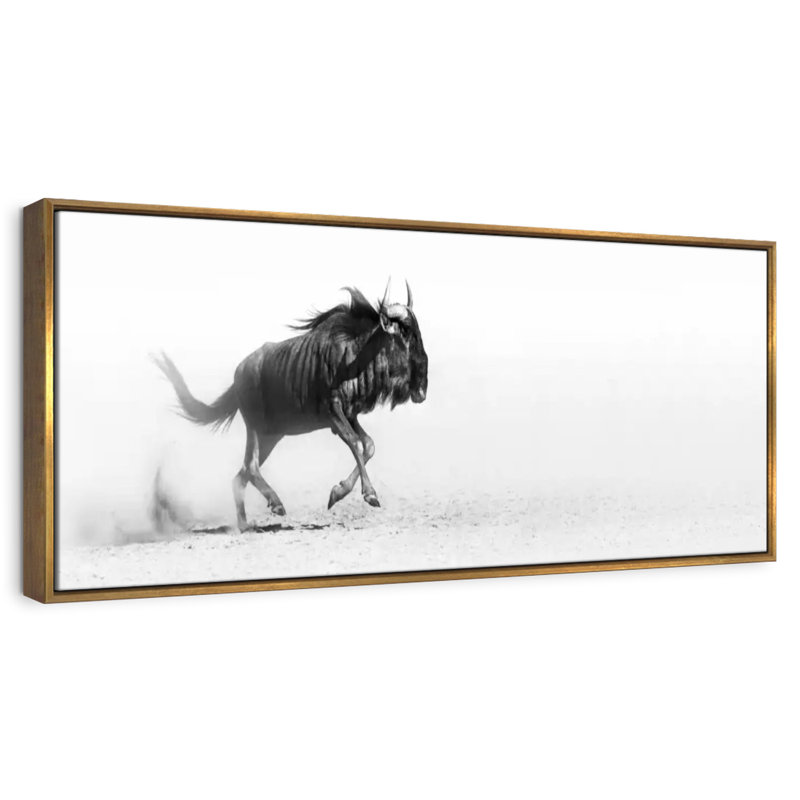 Safari gnou, 25" X 9", Floating Frame Gold