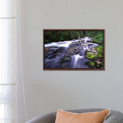 Paradise River, Mt Rainier National Park, Washington 1 Piece Floater Frame Wall Art on Canvas