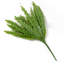 Annelies 40cm Plant