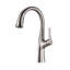 MODLAND Kitchen Faucet-87119720