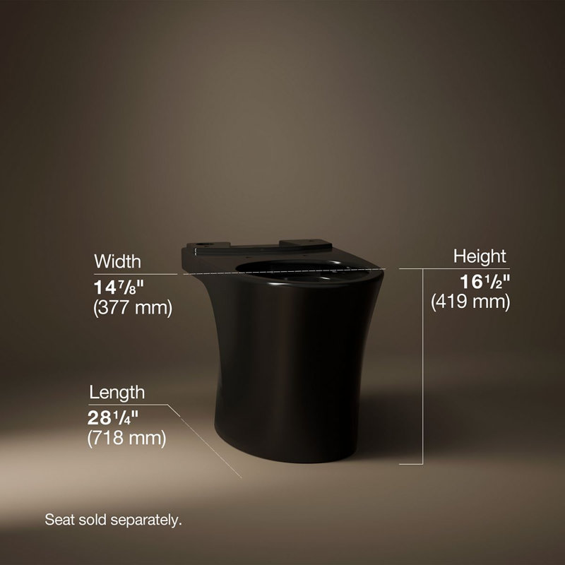 Veil Elongated Toilet Bowl With Skirted Trapway, Black