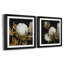 Cotton Balls I - Cadre photo-1492861061-1492861058-1492861057