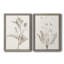 «Neutral Botanical Study VIIP», reproduction d'art encadrée - prête à être accrochée-559107752-558944164-559107760