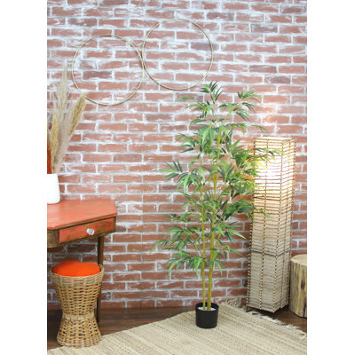 ARBRE DE BAMBOU 60 "REAL TOUCH 60"