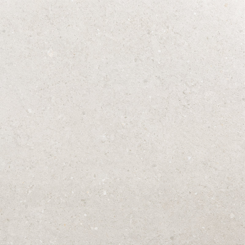 Carreau de mur et de plancher en pierre de porcelaine Ageless 24 po x 24 po, gris
