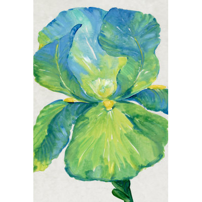 Iris Bloom In Green I - Wrapped Canvas Painting