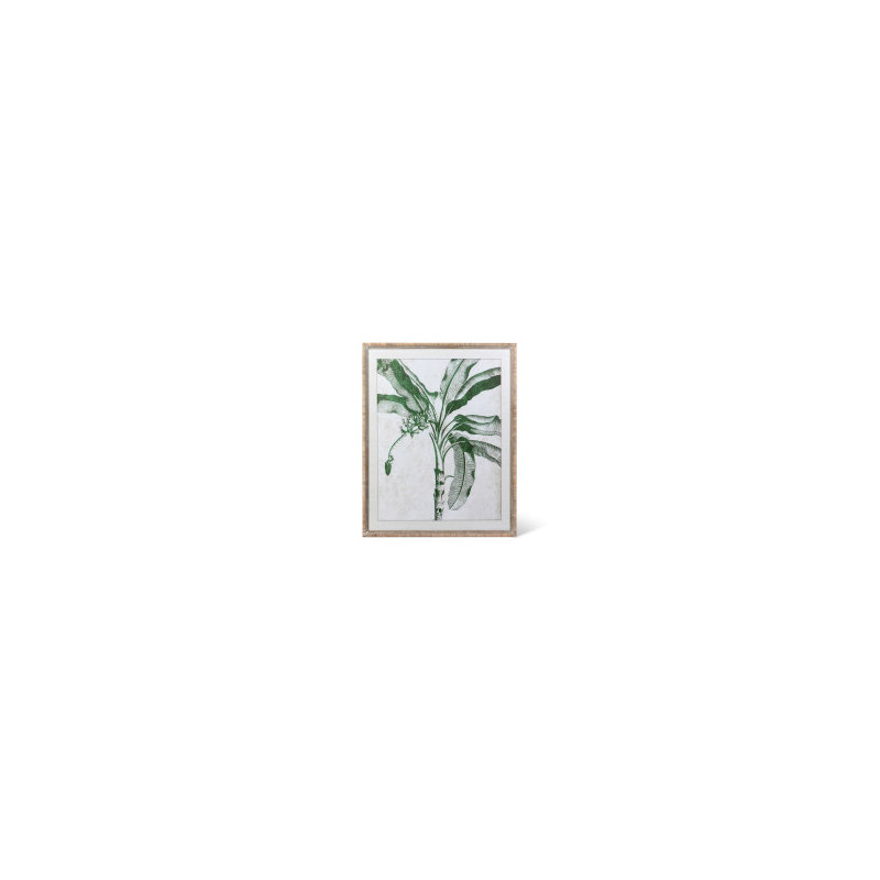 Plants & Flowers