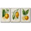 Citron français I 3 pièces-97795861-97795857