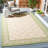 Oriental Natural/Olive Indoor / Outdoor Area Indoor/Outdoor Area Rug-629460324