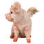 Figurine assis Hog Heaven Flying Pigs