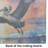 Pelican Fiery Sunset Glass Cutting Board