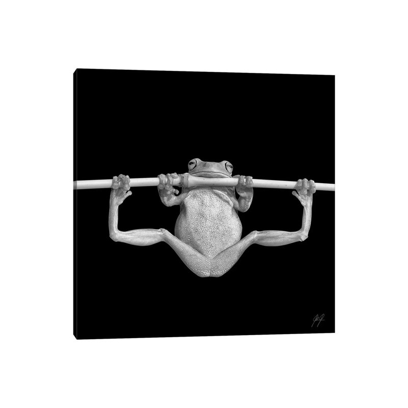 Training For Olympics - Wrapped Canvas Gallery-Wrapped Canvas Giclée, 30.48 cm H x 30.48 cm W