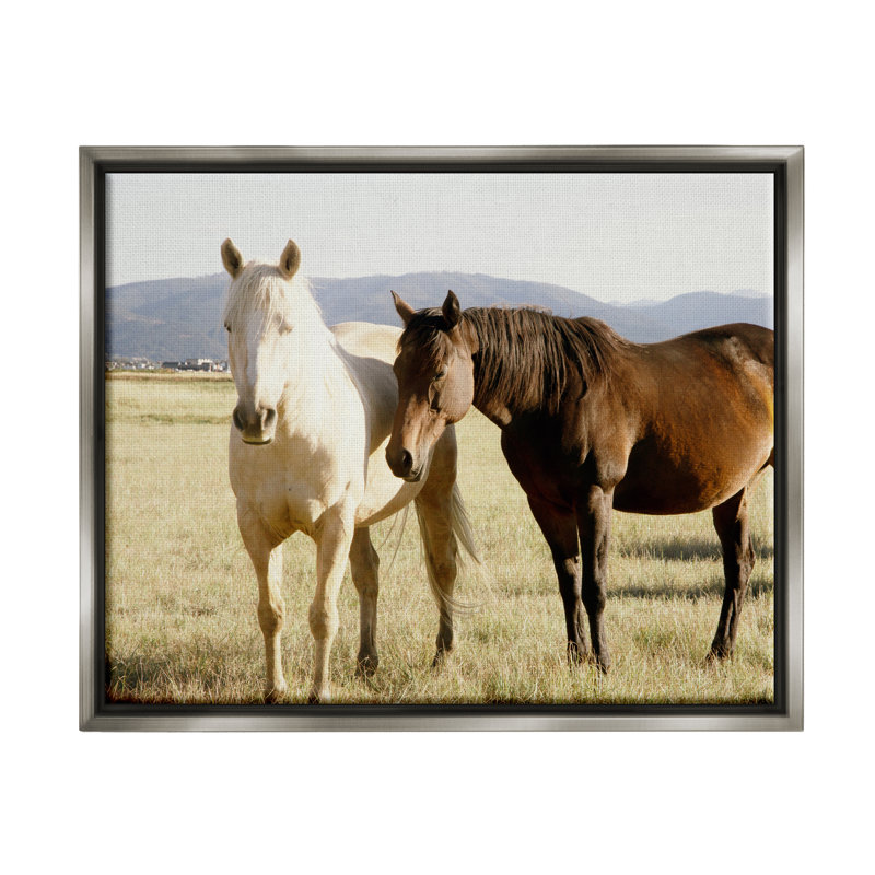 Gray Floater Framed Canvas with Rural Horses Photography, 21" x 17"