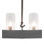 24 - Light Chandelier
