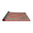 Oriental Indoor Rug-1700236880