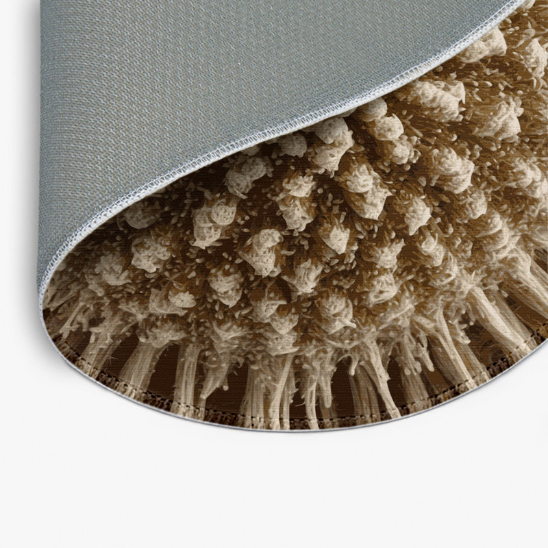 Nature Brown Indoor and Outdoor Area Rug, Round 5'