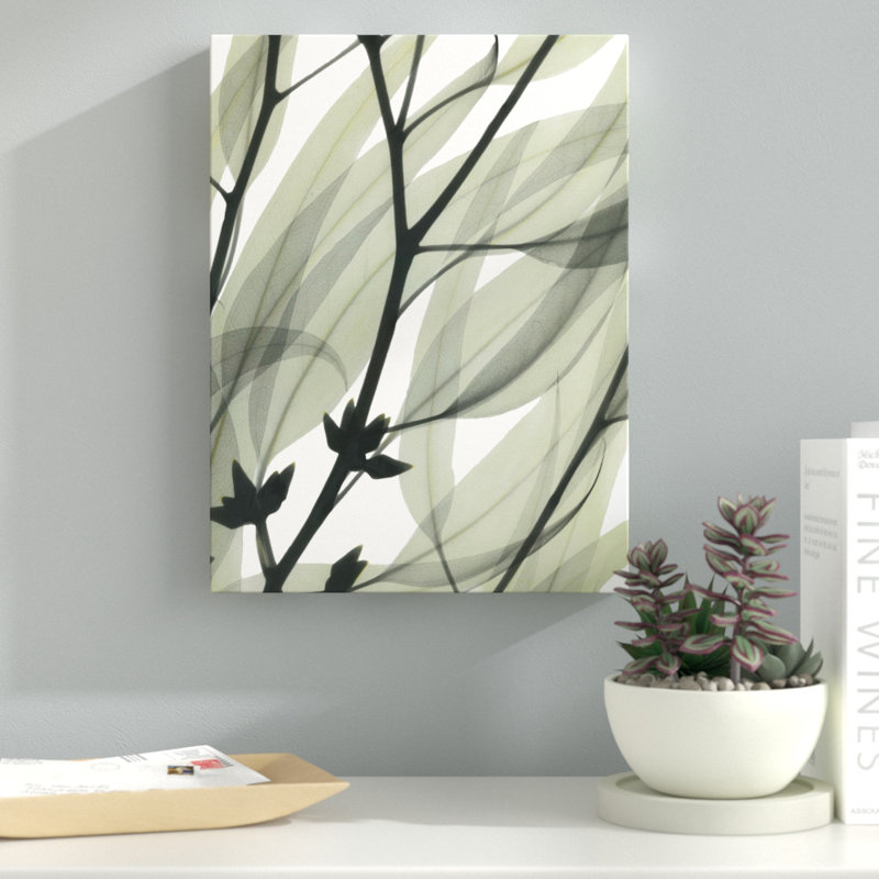Eucalyptus Safari - Wrapped Canvas Print, 102 cm H x 76 cm W