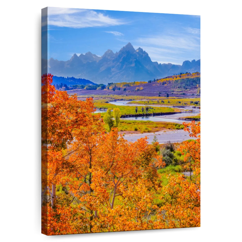 Trembles d'Alvord à Grand Teton, H 12 po x l 8 po