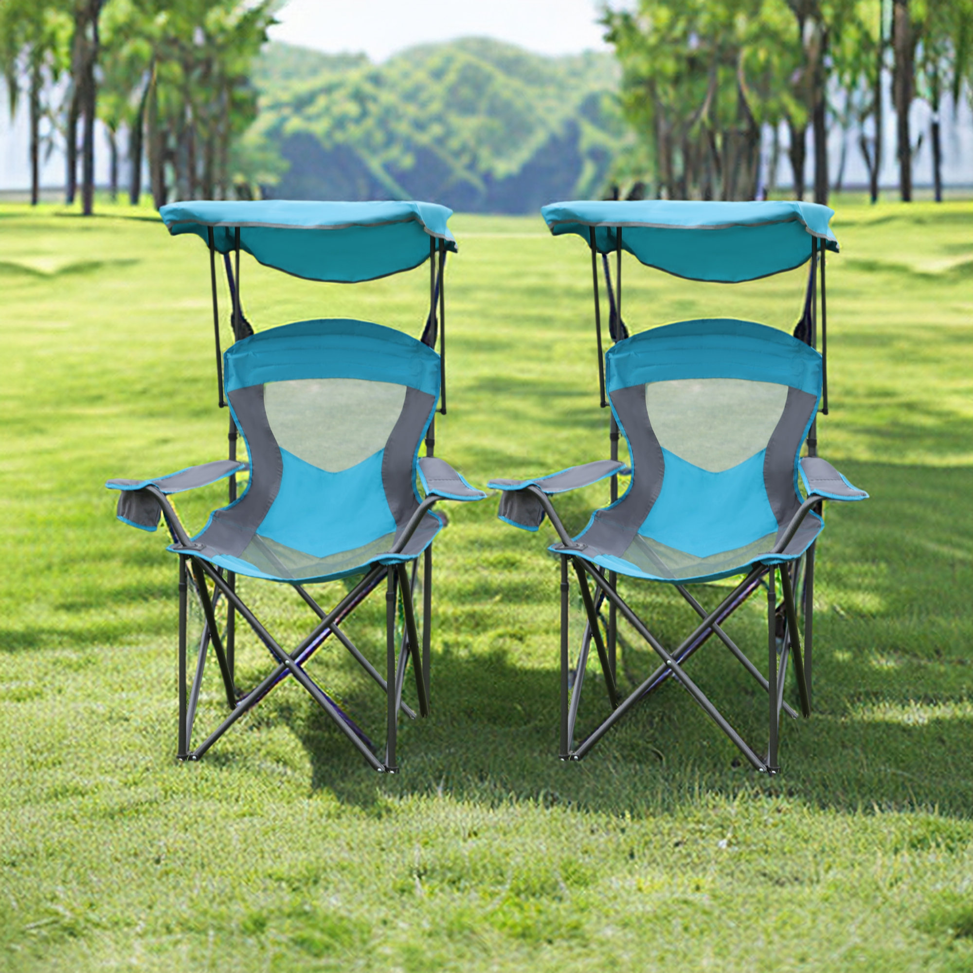 Arlmont & Co. Shanel Folding Camping Chair & Reviews Wayfair