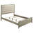 Randall Bed