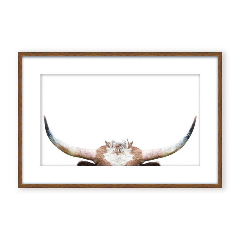 Nature Inspired Peeking Longhorn Cow by  - Picture Frame Photograph on Paper, 32" H x 48" W x 1.125" D, Framed Print, Brown