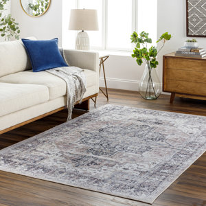 https://assets.wfcdn.com/im/76833606/resize-h300-w300%5Ecompr-r85/2235/223526894/Mittler+Oriental+Rug.jpg