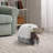 Harwich Polypropylene Litter Box Enclosure