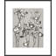 Lucent Botanicals 7 Print by Darrell Kincer-645605382