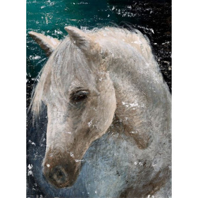 Horse Print by Sara Brown
